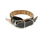 ΠΕΡΙΛΑΙΜΙΟ ΣΚΥΛΟΥ ΔΕ ΡΜΑΤΙΝΟ